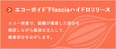 エコーガイド下Fasciaハイドロリリース